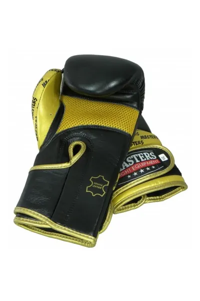 Boxerské rukavice Masters Rbt-Professional 01101-10