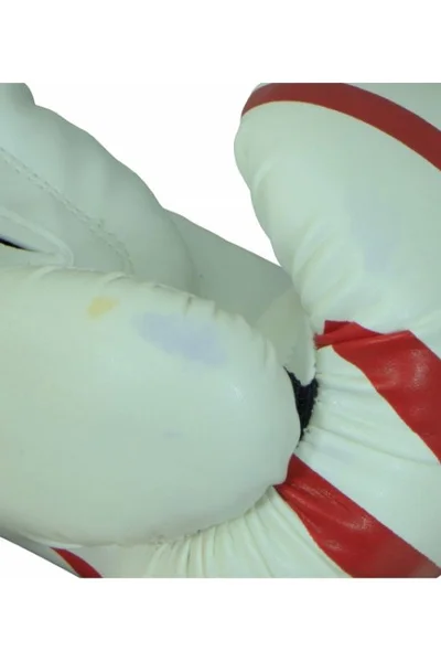 Boxerské rukavice MJE - RPU-KM 8 oz  Masters