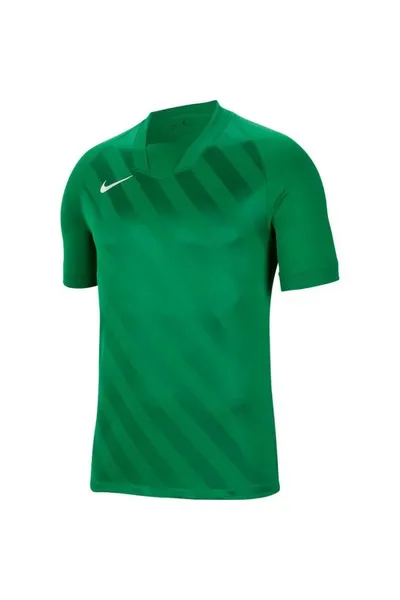 Zelené dětské tričko Nike Dri Fit Challange 3 Y Jr BV6738 302