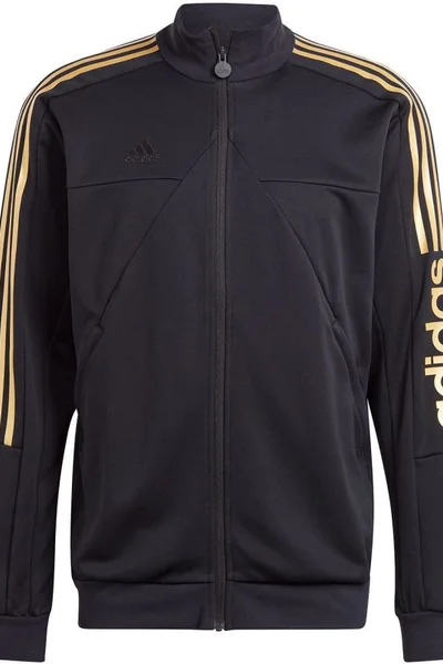 Adidas Pánská Sportovní Mikina Tiro Wordmark s Aeroready