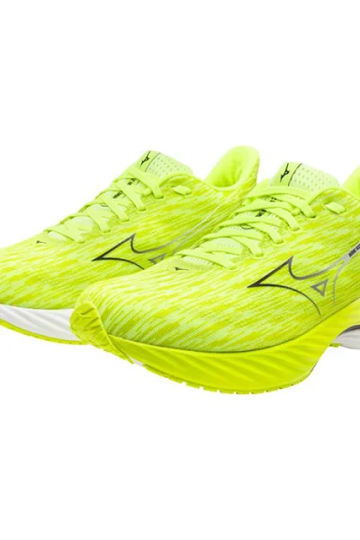 Pánské halové boty Mizuno Wave Rider M