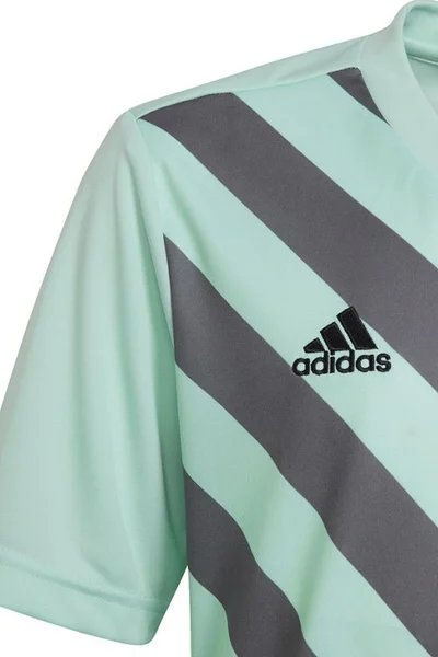 Mátově-šedé dětské tričko Adidas Entrada 22 Graphic Jersey Jr HF0127