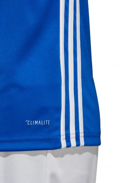 Modré tréninkové tričko Adidas Regista 18 Jersey M CE8965