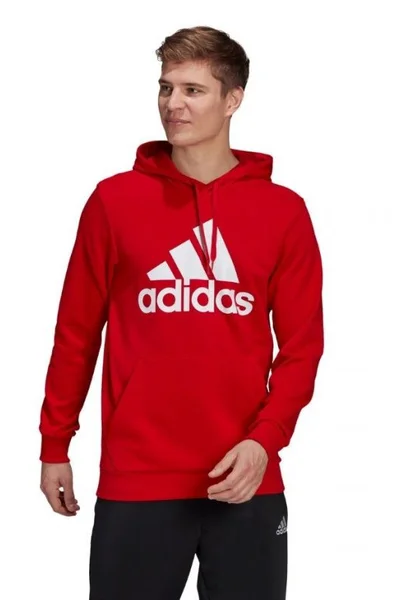 Pánská mikina Adidas Essentials Big Logo