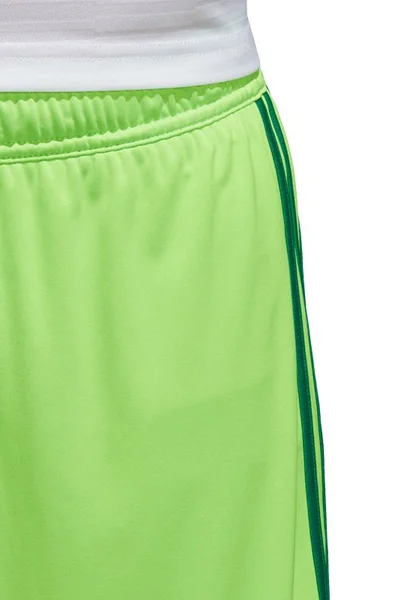 Pánské zelené šortky Adidas Regista 18 Short M CF9598