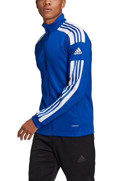 Pánská mikina Adidas Squadra 21 Training M GP6463 pánské