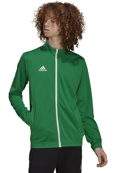 Zelená pánská mikina Adidas Entrada 22 Bunda M HI2135