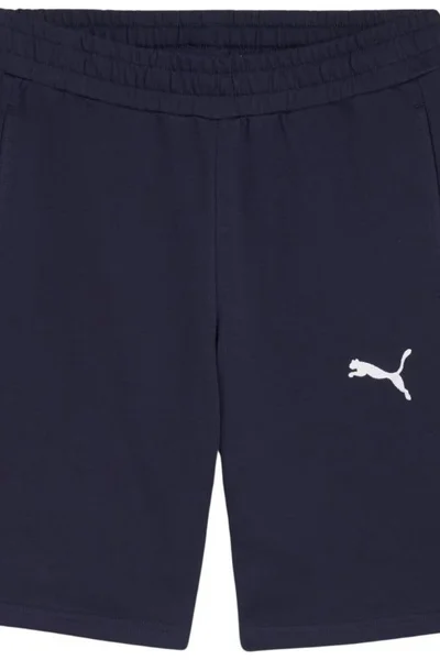 Pánské šortky Puma TeamGOAL Casual navy blue