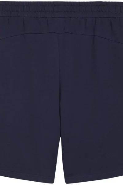 Pánské šortky Puma TeamGOAL Casual navy blue