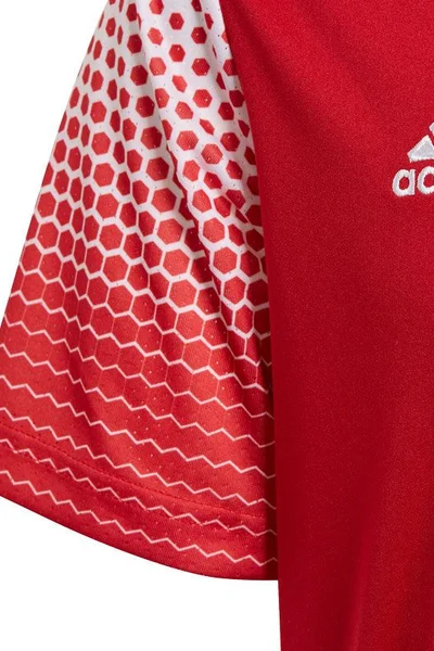 Dětské červené tričko Adidas Regista 20 Jr FI4565