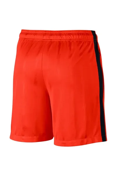 Červené pánské šortky Nike Dry Squad Jacquard 870121-852