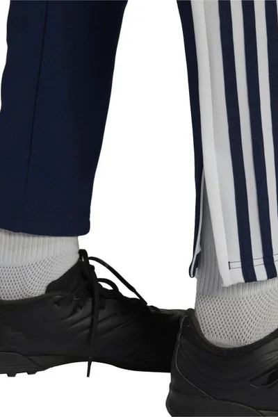 Pánské tréninkové kalhoty Adidas Squadra 21 M HC6273