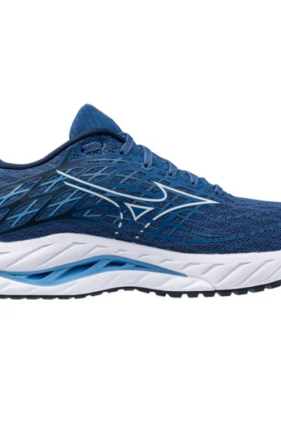 Stabilizační běžecké boty Mizuno Wave Inspire M - modré