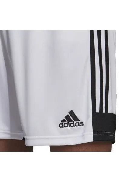 Pánské sporotvní šortky Adidas Tastigo 19