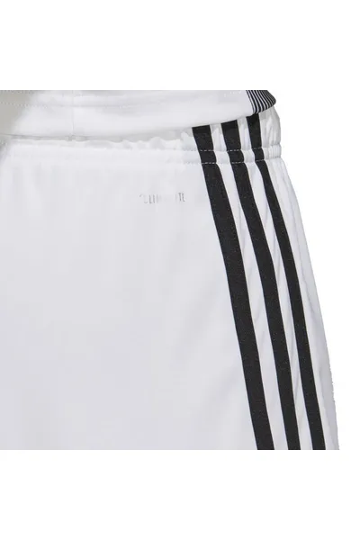 Pánské sporotvní šortky Adidas Tastigo 19