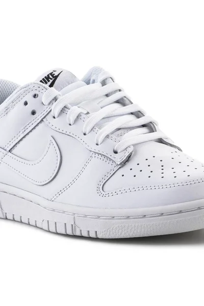 Retro sportovní boty Nike Dunk Low