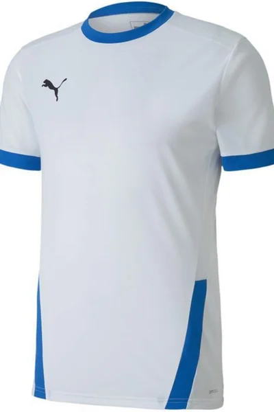 Fotbalový dres Puma teamGOAL Jersey M