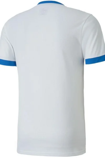 Fotbalový dres Puma teamGOAL Jersey M