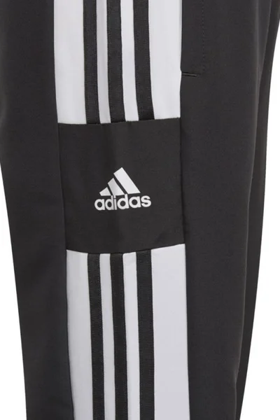 Dětské tréninkové kalhoty Adidas Squadra 21 Pre Pant Jr GK9559