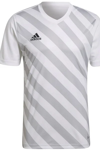 Bílé pánské tričko Adidas Entrada 22 Graphic Jersey M HF0129