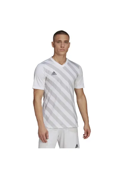 Bílé pánské tričko Adidas Entrada 22 Graphic Jersey M HF0129