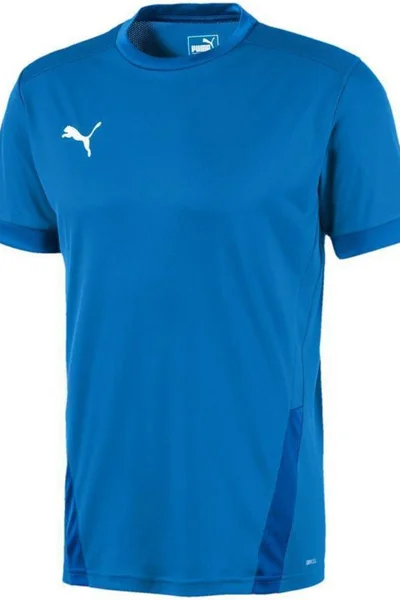 Pánský fotbalový dres Puma teamGOAL dryCell M