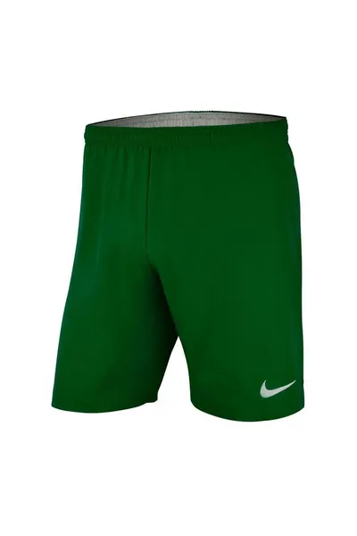Zelené pánské kraťasy Nike Laser Woven IV Short M AJ1245-302