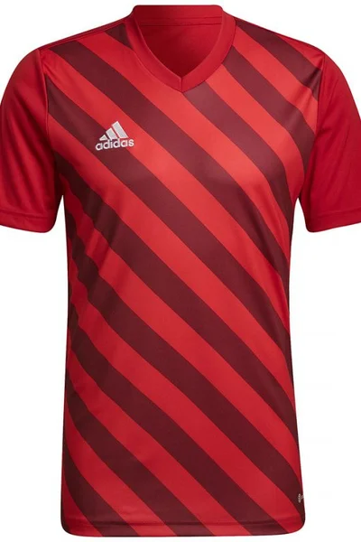 Červeno-kaštanové pánské tričko Adidas Entrada 22 Graphic Jersey M HB0572