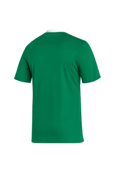 Zelené pánské tričko Adidas Entrada 22 Jersey M HI2123