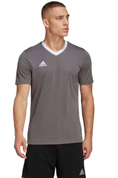 Šedé pánské tričko Adidas T-shirt Entrada 22 Jersey M HE1574