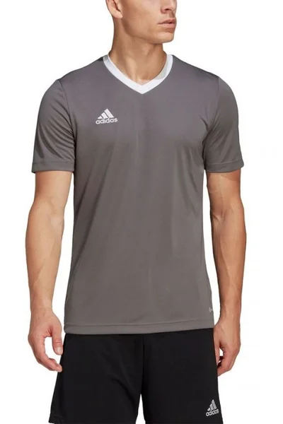 Šedé pánské tričko Adidas T-shirt Entrada 22 Jersey M HE1574