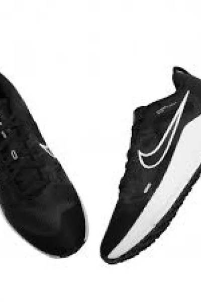 Pánské boty Nike Downshifter 12