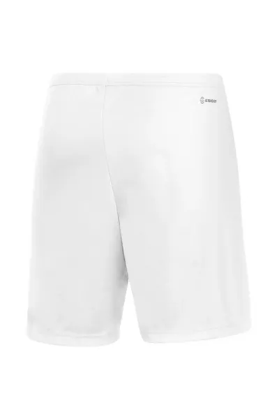 Bílé pánské šortky Adidas Entrada 22 M HG6295