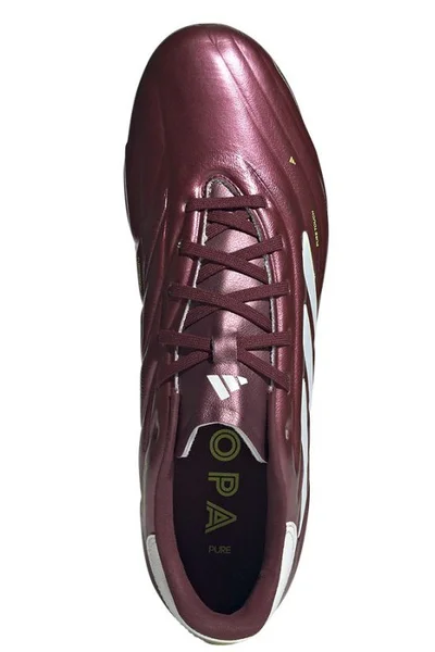 Fotbalové kopačky adidas Copa Pure Pro FG M - vínová kůže