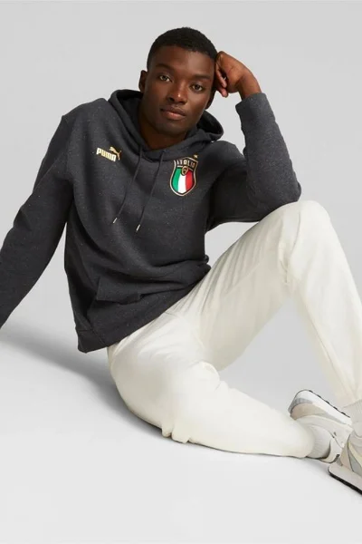 Sportovní mikina Puma FIGC FTBL CULTURE Hoody pánská