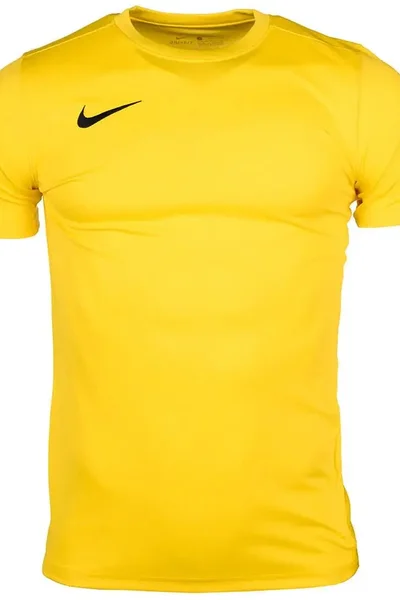 Funkční tričko Nike Dri-FIT Park bordó