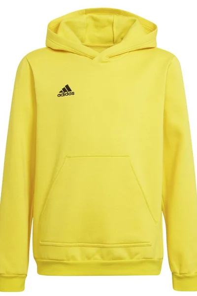 Žlutá dětská mikina Adidas Entrada 22 Hoody Y Jr HI2142