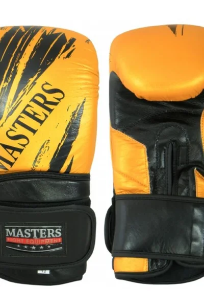 Zlaté boxerské rukavice Masters