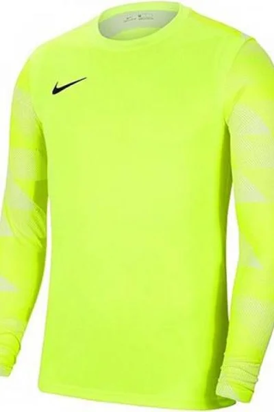 Dětská brankářská mikina Nike Dry Park IV JSY LS GK JR CJ6072-702