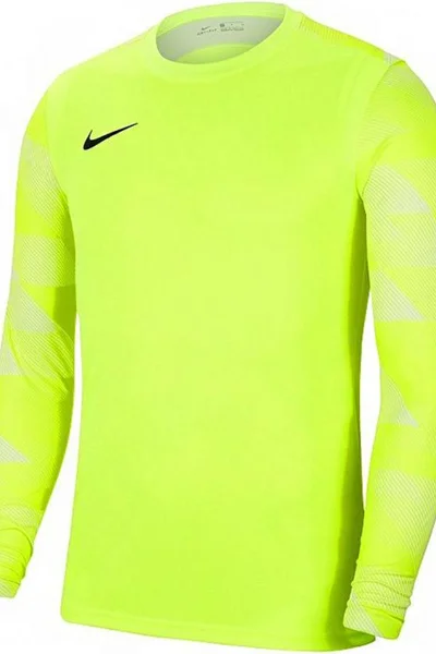 Dětská brankářská mikina Nike Dry Park IV JSY LS GK JR CJ6072-702