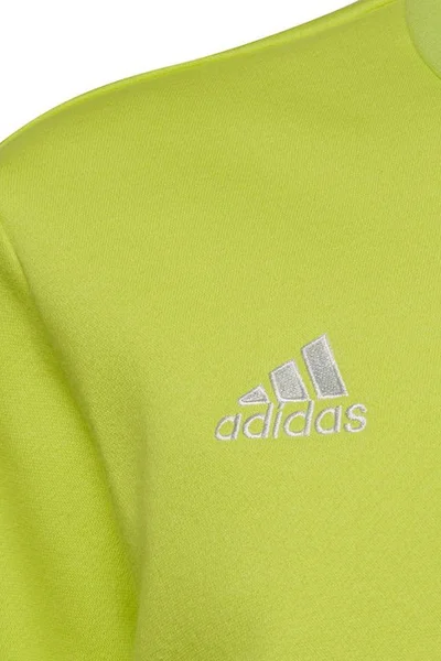 Dětská mikina Pro-Football - Adidas