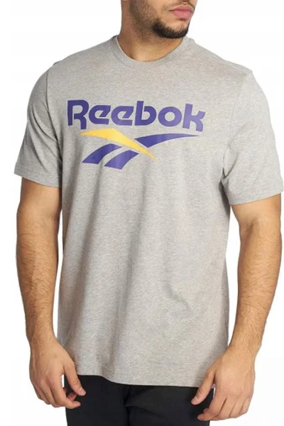 Nepřekonatelné sportovní tričko Reebok CL V Tee šedé pro muže