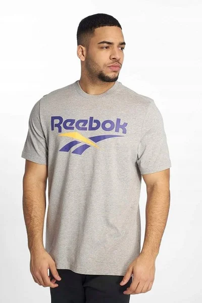 Nepřekonatelné sportovní tričko Reebok CL V Tee šedé pro muže