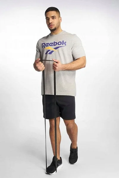 Nepřekonatelné sportovní tričko Reebok CL V Tee šedé pro muže