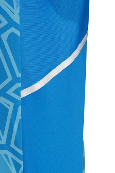 Adidas Condivo pánské brankářské tričko s krátkým rukávem