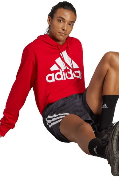 Adidas pánská mikina Essentials s kapucí a velkým logem