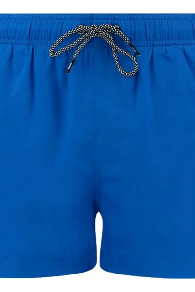 Plavecké šortky Puma Swim Pánské Blue