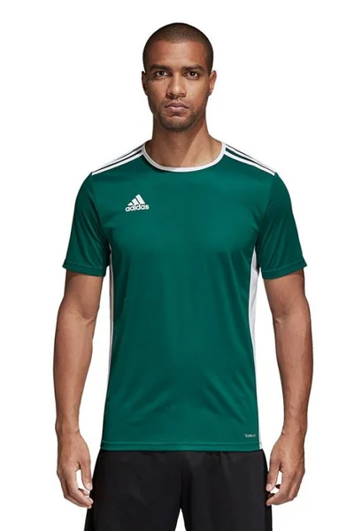 Zelené pánské fotbalové tričko Adidas Entrada 18 CD8358