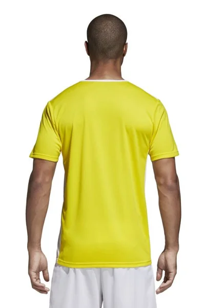 Žluté pánské tričko Adidas Entrada 18 CD8390