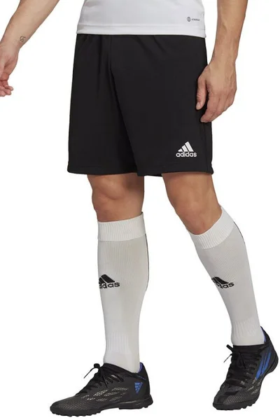 Pánské sportovní šortky Adidas Entrada 22 Training Short M HB0575